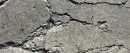 Scientists Developed a Kind of 'Living Concrete'