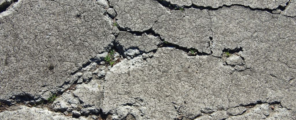 Scientists Developed a Kind of 'Living Concrete'